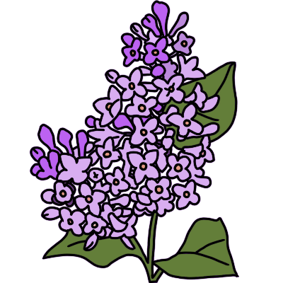 a stem of lilac.
